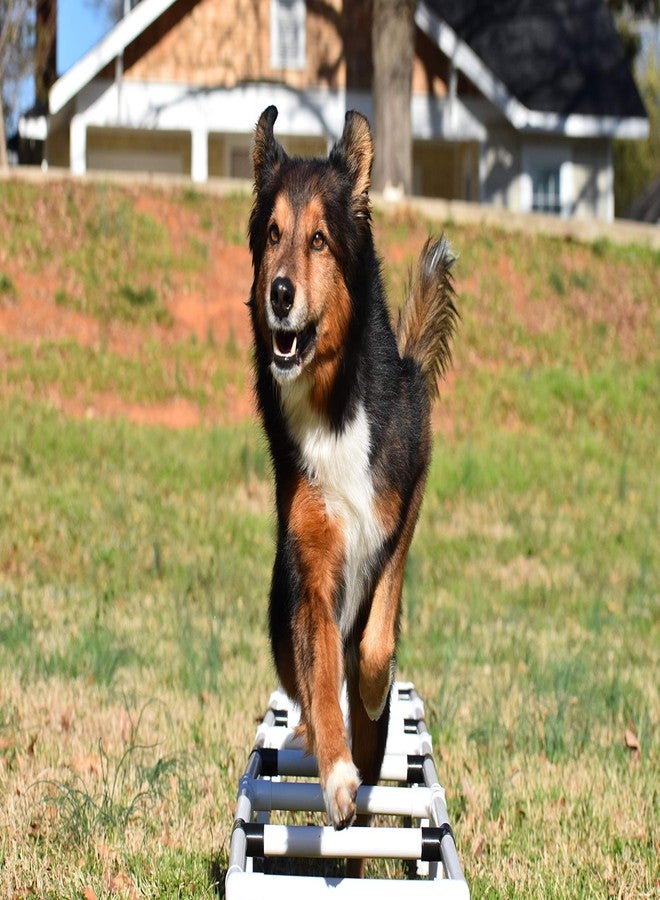 سلم تدريب رشاقة الكلاب الرياضية من Better Sporting Dogs | معدات تدريب رشاقة الكلاب | معدات تدريب الكلاب - Image 4